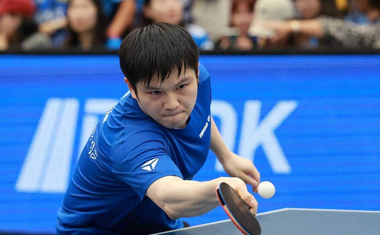 德国乒乓球队轻取波兰乒乓球队,樊振东爆发神勇的简单介绍 德国乒乓球队轻取波兰乒乓球队,樊振东爆发神勇的简单介绍