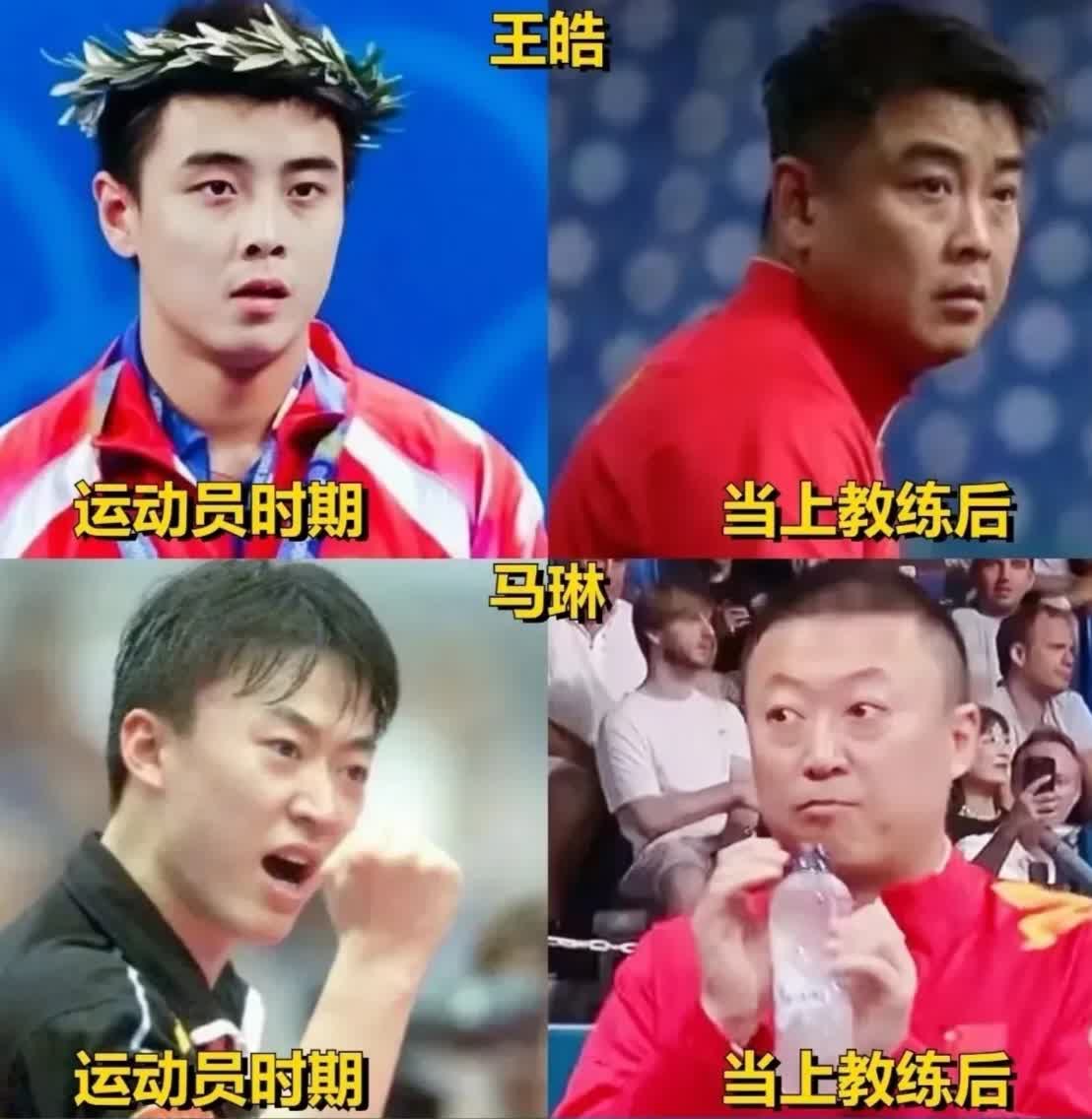 中国乒乓球队逆转德国乒乓球队，王皓一己之力扛起全队的简单介绍