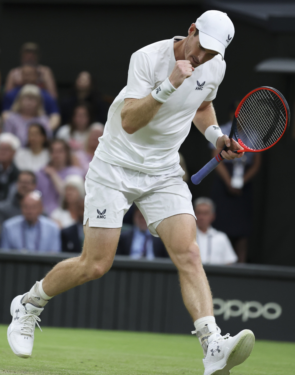 法国网球队轻取世界网球队，穆雷制霸全场的简单介绍