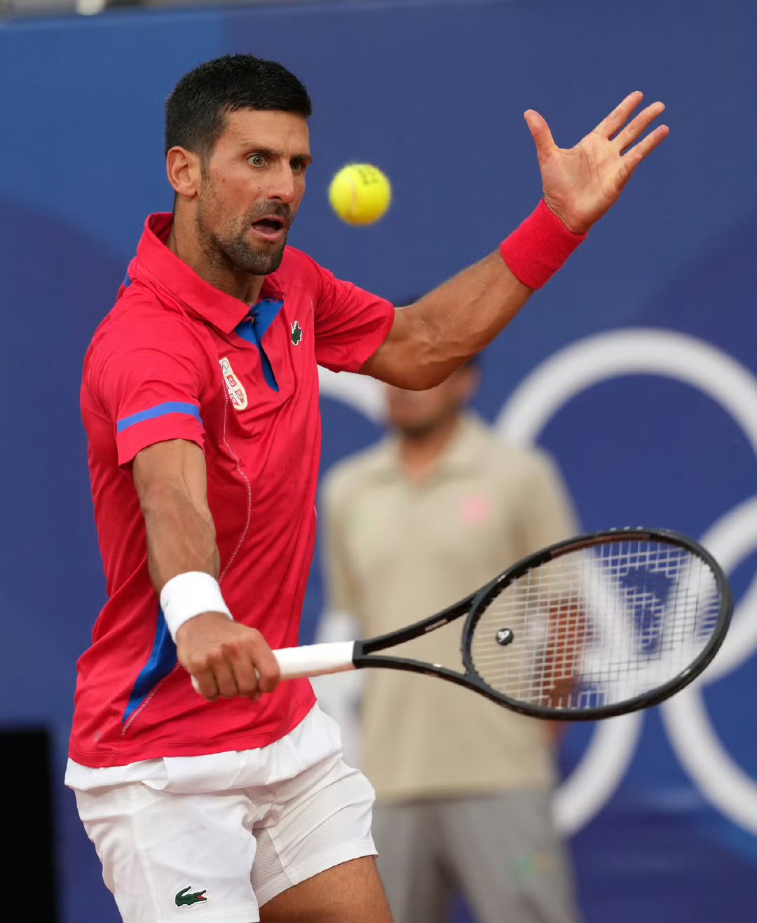 ATP总决赛绝杀戴维斯杯，德约科维奇点燃赛场的简单介绍