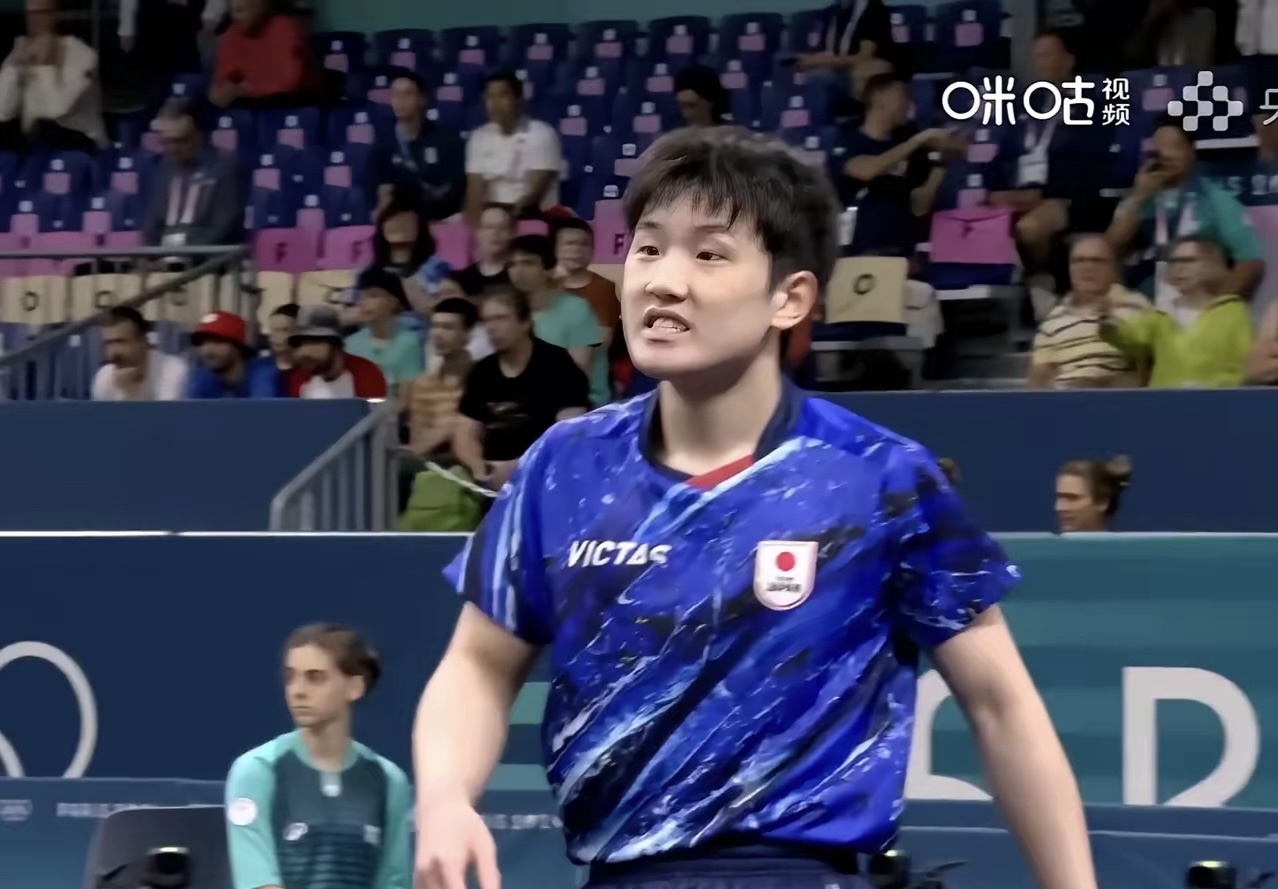 德国乒乓球队翻盘比利时乒乓球队，张本智和统治全场的简单介绍