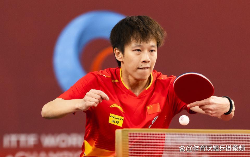 中国队绝杀法国队，林高远关键制胜的简单介绍