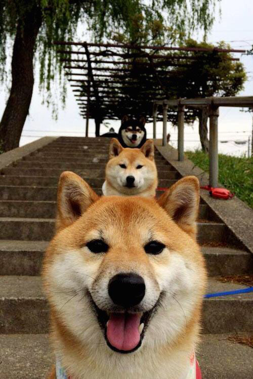 从诺坎普到伊蒂哈德，阿克在巴萨掀翻勒沃库森的焦点战中证明自己