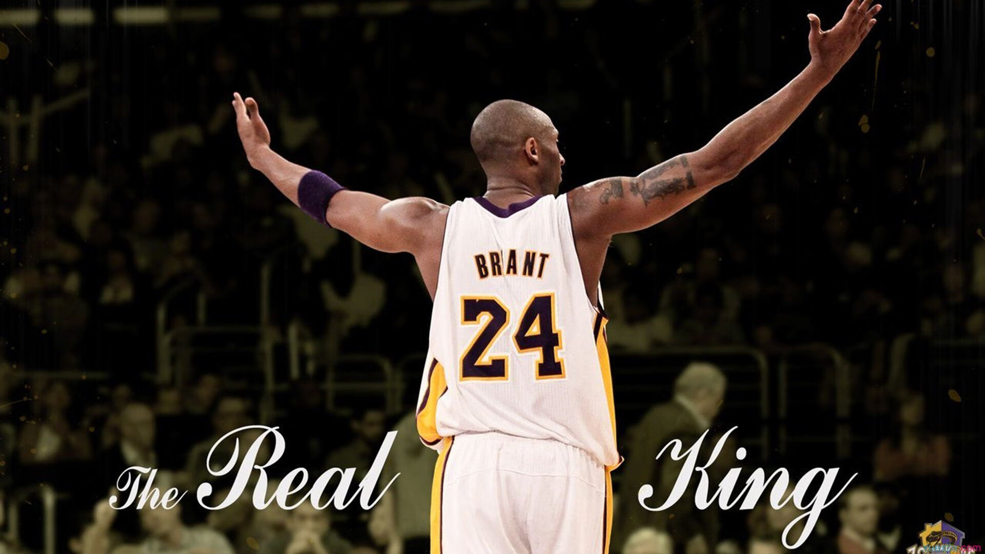 绿茵场与篮球场的双重奏，德甲争冠焦点战折射的竞技哲学与山西队狂胜启示录