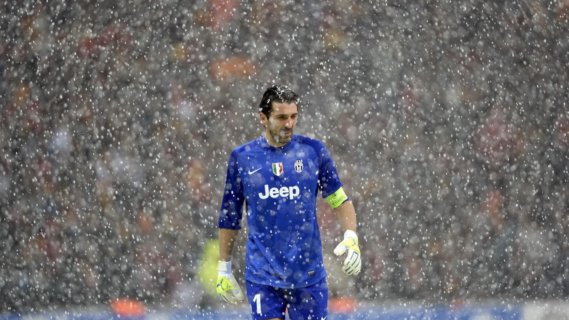 跨界逆袭,从黄蜂蛰醒辽宁到米切尔F1赛道接管—唯一性胜利的艺术