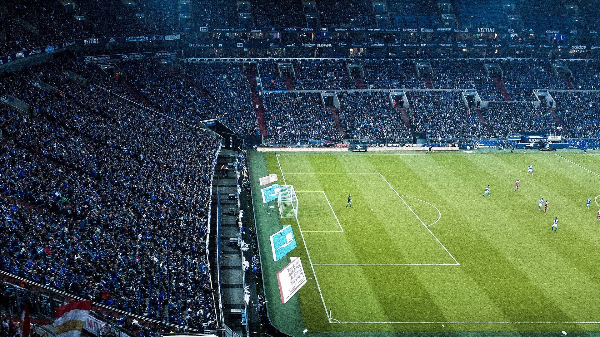 跨界逆袭,从黄蜂蛰醒辽宁到米切尔F1赛道接管—唯一性胜利的艺术