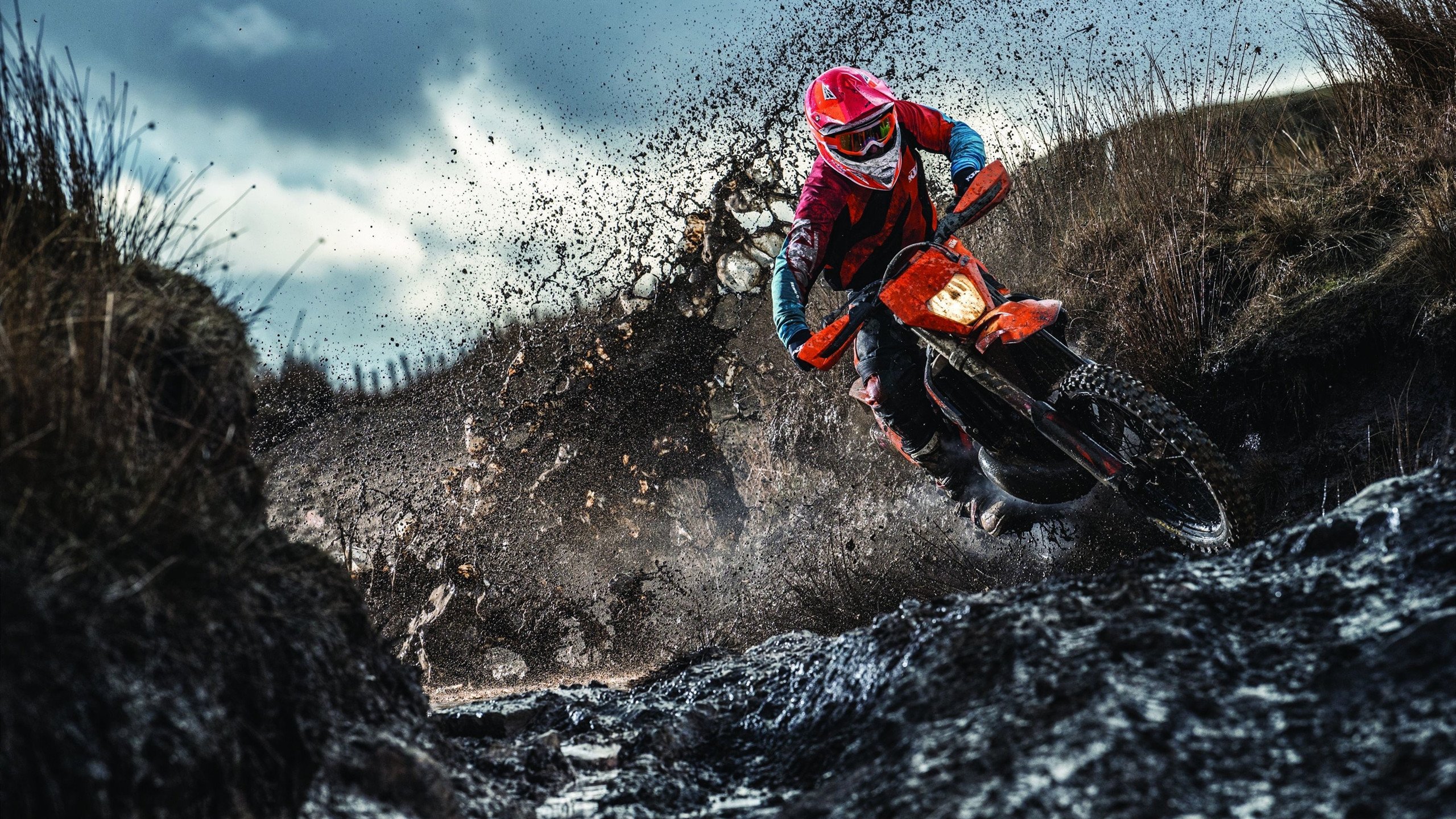 猛龙淘汰赛过关勇士，爱德华兹主宰比赛走向